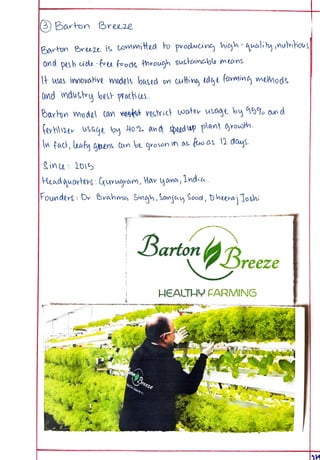 Eco Project class 12 on Vertical Farming. | PDF