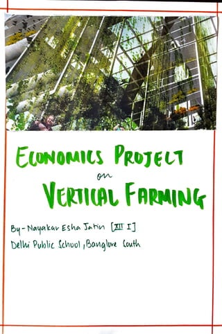 Eco Project class 12 on Vertical Farming.