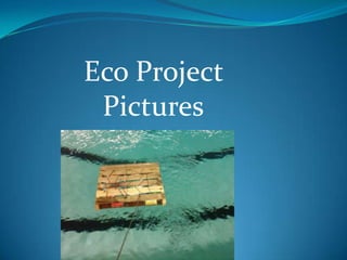 Eco Project Pictures 