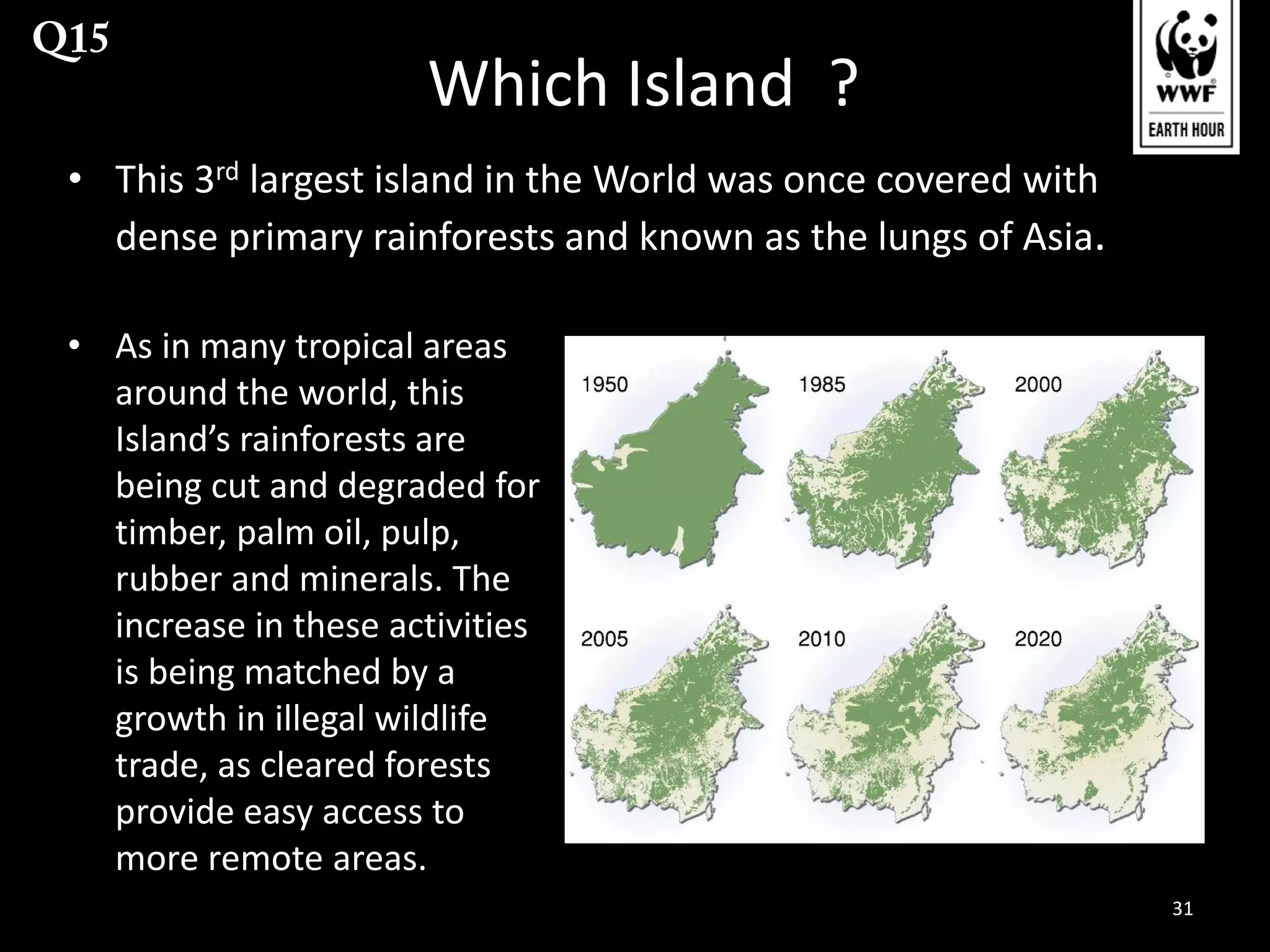 Which Island ?
• This 3rd largest island in the World was once covered with
dense primary rainforests and known as the lungs of Asia.
• As in many tropical areas
around the world, this
Island’s rainforests are
being cut and degraded for
timber, palm oil, pulp,
rubber and minerals. The
increase in these activities
is being matched by a
growth in illegal wildlife
trade, as cleared forests
provide easy access to
more remote areas.
31

 