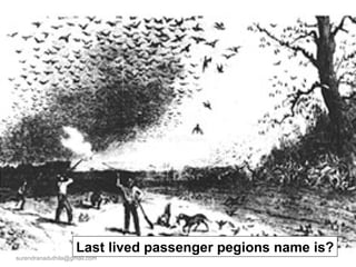 Last lived passenger pegions name is? [email_address] 