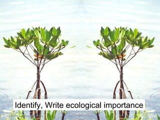 Identify, Write ecological importance [email_address] 