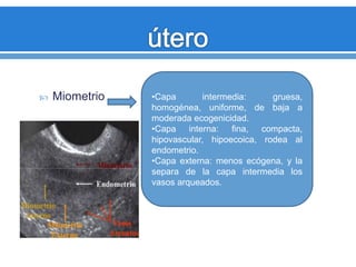 Miometrio •Capa intermedia: gruesa,
homogénea, uniforme, de baja a
moderada ecogenicidad.
•Capa interna: fina, compacta,
hipovascular, hipoecoica, rodea al
endometrio.
•Capa externa: menos ecógena, y la
separa de la capa intermedia los
vasos arqueados.
 