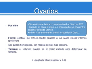  Posición
 Forma: elíptica, eje cráneo-caudal paralelo a los vasos ilíacos internos
(posterior).
 Eco patrón homogéneo, con medula central mas ecógena.
 Tamaño: el volumen ovárico es el mejor método para determinar su
tamaño.
( Longitud x alto x espesor x 0,5)
•Generalmente lateral o posterolateral al útero en AVF.
•Cuando se sitúa el útero en línea media se encuentra
superior al fondo uterino.
•En RVF se encuentran lateral y superior al útero.
 