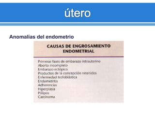 Anomalías del endometrio
 