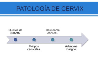 PATOLOGÍA DE CERVIX
Quistes de
Naboth.
Pólipos
cervicales.
Carcinoma
cervical.
Adenoma
maligno.
 
