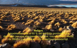 Relieve Aproximadamente el 60 % del territorio provincial está dominado por una alta meseta,  la Puna , con una altura media de 3500m y se ubica en todo el sector noroccidental. 