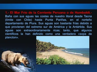 1.- El Mar Frío de la Corriente Peruana o de Humboldt.-