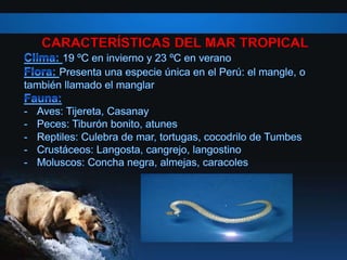 CARACTERÍSTICAS DEL MAR TROPICAL