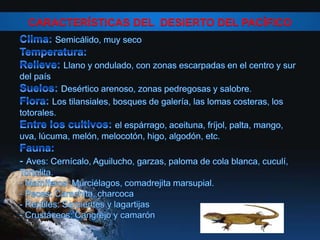 CARACTERÍSTICAS DEL DESIERTO DEL PACÍFICO