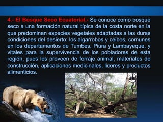 4.- El Bosque Seco Ecuatorial.-