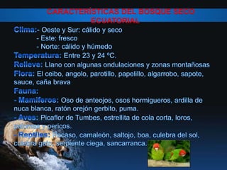CARACTERÍSTICAS DEL BOSQUE SECO
ECUATORIAL