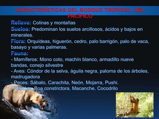 CARACTERÍSTICAS DEL BOSQUE TROPICAL DEL
PACÍFICO