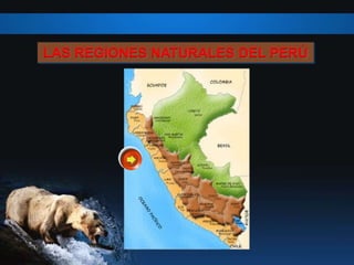 LAS REGIONES NATURALES DEL PERÚ