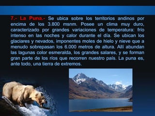 7.- La Puna.-