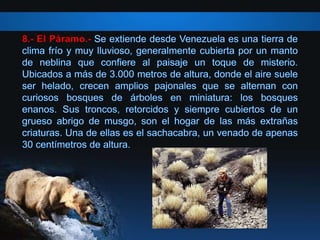 8.- El Páramo.-