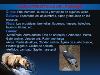 CARACTERÍSTICAS DEL PÁRAMO