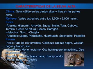 CARACTERÍSTICAS DE LA SELVA ALTA