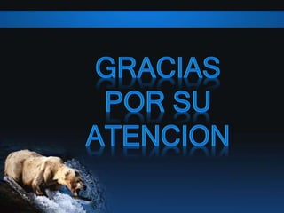 ECOREGIONES DEL PERU _ jbm