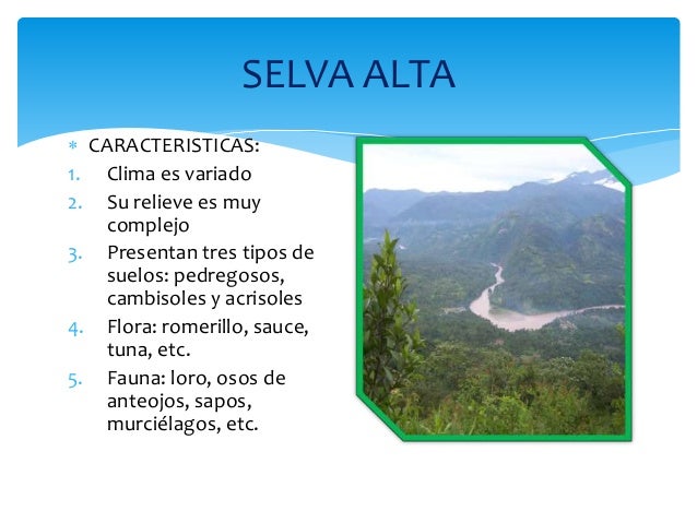 Ecoregiones marinas