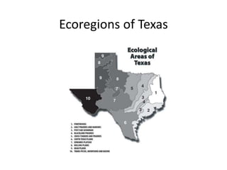 Ecoregions of Texas
 