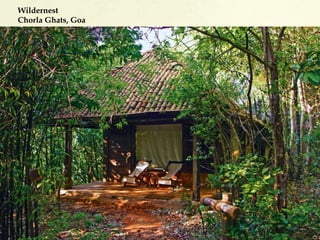 Wildernest
Chorla Ghats, Goa
 