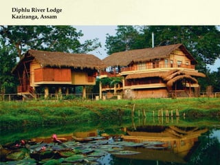 Diphlu River Lodge
Kaziranga, Assam
 