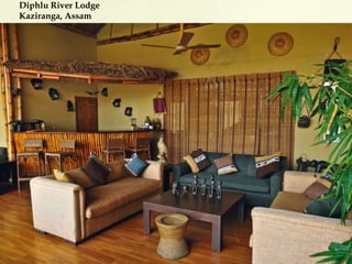 Diphlu River Lodge
Kaziranga, Assam
 