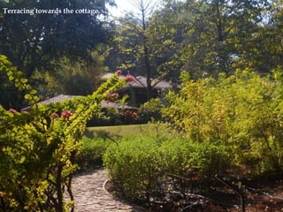 Terracing towards the cottage.
 