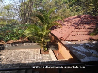 Flag stone laid for pavings.Palms planted around
 