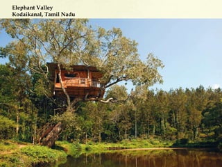 Elephant Valley
Kodaikanal, Tamil Nadu
 