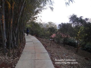 Beautiful pathways
connecting the spaces
 