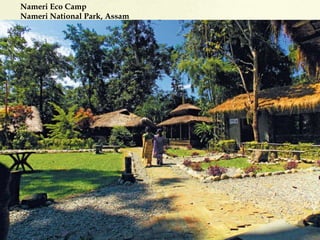 Nameri Eco Camp
Nameri National Park, Assam
 