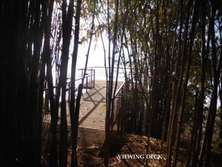 VIEWING DECK
 