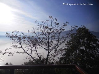 Mist spread over the rivers
 