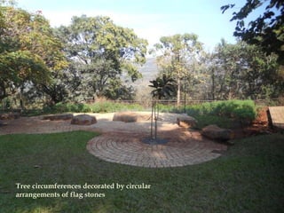 Tree circumferences decorated by circular
arrangements of flag stones
 