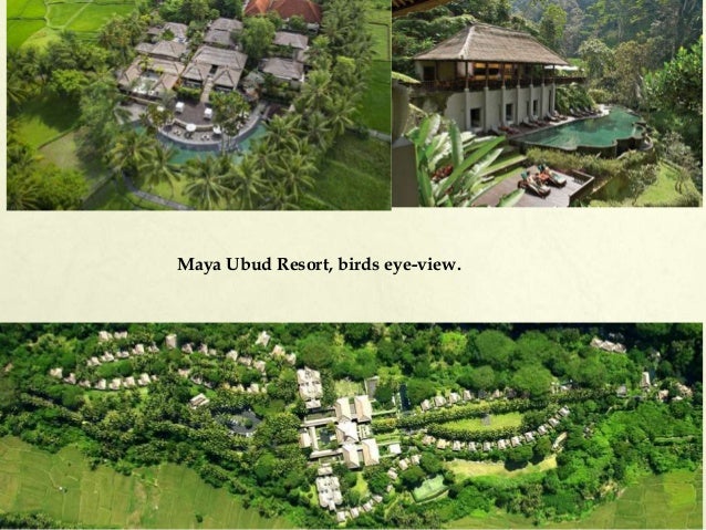Anchaviyo resort case study image