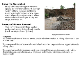 Survey in Watershed Study of variety of vegetation cover spread all over the watershed, through variety of land features right from upper reaches to bottom of any slope, some where depressions, some where steep and medium slopes, rocky out crops, wetlands etc. Survey of Stream Channel This survey is done in three reaches particularly upper (high slope), middle (medium slope), lower (plains)  Highly Eroded Stream Banks Purpose: To assess condition of Stream banks, check whether erosion is taking place and if yes at what rate. To assess condition of stream channel, check whether degradation or aggradations is taking place. To assess human Interferences on stream channel like dams, instream cultivation, degradation or aggradations, use of stream as for waste disposal, pathways for livestock etc.   