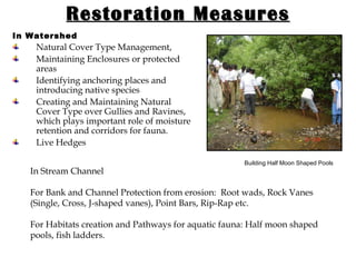Restoration Measures In Watershed Natural Cover Type Management, Maintaining Enclosures or protected areas Identifying anchoring places and introducing native species Creating and Maintaining Natural Cover Type over Gullies and Ravines, which plays important role of moisture retention and corridors for fauna. Live Hedges Building Half Moon Shaped Pools In Stream Channel  For Bank and Channel Protection from erosion:  Root wads, Rock Vanes (Single, Cross, J-shaped vanes), Point Bars, Rip-Rap etc. For Habitats creation and Pathways for aquatic fauna: Half moon shaped pools, fish ladders. 
