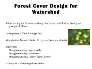 Forest Cover Design for Watershed Before starting the forest cover design lets have a quick look at   Ecological groups of Plants Hydrophytes – Water loving plants Mesophytes – Normal plants - Evergreen, Deciduous forests. Xerophytes –  Drought escaping - ephemerals Drought resisting - succulents Drought enduring - hardy, spiny, thorny.  Halophytes – Waterlogged conditions 