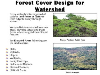 Forest Cover Design for Watershed Every watershed is composed of various  land forms or features  from ridge to valley through stream.  We can divide watershed into two areas, Elevated Areas and Plain Areas where we get different land features. For  Elevated Areas  following are the land features Hills, Uplands, Slopes, Wetlands, Rocky Outcrops, Gullies and Ravines, Stream Channels, Difficult Areas Pioneer Plants on Rubble Heap Forest on slopes 
