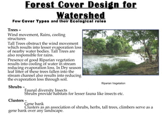 Forest Cover Design for Watershed Trees –   Wind movement, Rains, cooling structures Tall Trees obstruct the wind movement which results into lesser evaporation loss of nearby water bodies. Tall Trees are also responsible for rains. Presence of good Riparian vegetation results into cooling of water in stream reducing evaporation loss. In Dry season leaf litter of these trees fallen into the stream channel also results into reducing the evaporation loss through soil. Riparian Vegetation Few  Cover Types  and their  Ecological roles Shrubs  –   Faunal diversity Insects  Shrubs provide habitats for lesser fauna like insects etc. Clusters   –  Gene bank Clusters as an association of shrubs, herbs, tall trees, climbers serve as a gene bank over any landscape. 