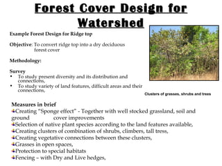 Forest Cover Design for Watershed Example Forest Design for Ridge top Objective : To convert ridge top into a dry deciduous    forest cover  Methodology:   Survey   To study present diversity and its distribution and connections, To study variety of land features, difficult areas and their connections, Clusters of grasses, shrubs and trees Measures in brief Creating “Sponge effect” - Together with well stocked grassland, soil and ground  cover improvements  Selection of native plant species according to the land features available,  Creating clusters of combination of shrubs, climbers, tall tress,  Creating vegetative connections between these clusters, Grasses in open spaces, Protection to special habitats Fencing – with Dry and Live hedges, 