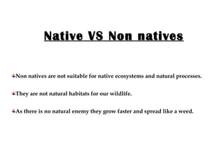 Native VS Non natives Non natives are not suitable for native ecosystems and natural processes. They are not natural habitats for our wildlife. As there is no natural enemy they grow faster and spread like a weed. 