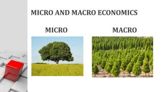 MICRO AND MACRO ECONOMICS
MICRO MACRO
 