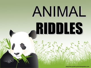 ANIMALANIMAL
RIDDLESRIDDLES
 