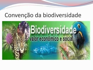 Convenção da biodiversidade
 
