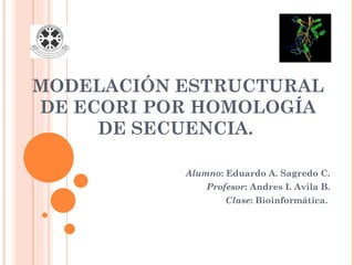 MODELACIÓN ESTRUCTURAL
DE ECORI POR HOMOLOGÍA
     DE SECUENCIA.

           Alumno: Eduardo A. Sagredo C.
               Profesor: Andres I. Avila B.
                   Clase: Bioinformática.
 