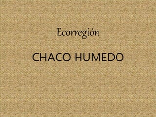 Ecorregión
CHACO HUMEDO
 