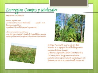 Ecorregion Campos y Malezales
RESERVAS NATURALES
Reserva Campo San Juan:
Son 5.160 hectáreas ricas en biodiversidad, ubicadas en el
departamento Candelaria.
Dependiente de la Entidad Binacional Yacyretá (EBY)
Otras reservas misioneras del área sur
como Teyú-Cuaré, Fachinal y Cañadón de Profundidad, por su escasa
superficie y diseño actual, no aportan a la protección de este ambiente.
El Parque Provincial de la sierra Ing. Agr. Raúl
Martínez en su superficie de 1088 ha alberga apenas
unas pocas hectáreas de campo.
La Reserva Compensatoria Rincón Santa María de la
EBY, en Corrientes, protege un sector costero con
pastizales de interés pero totalmente marginales para esta
formación; con 550 ha la Reserva Privada Guazutí-Ñú
 